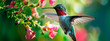 hummingbird bird in nature. Selective focus.