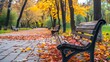 City park in autumn with a pathway, benches, and trees with colorful leaves background