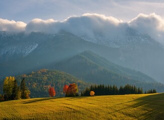 Wall Mural - Beautiful autumn landscape in the mountains. Clouds illuminated by the morning sun floating low over the valley. Country panorama view from Slowakian High Tatras.