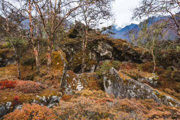 Wall Mural - Himalayan mountains view on the way between Namche Bazar and Kumjung villages. Nepal