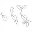 © Moshiur - One line drawing of plant growth processing out line vector art illustration