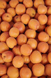 fresh ripe apricots as background or texture. natural, environmentally friendly fruits at the local market.  
