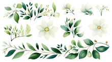 White Flowers And Green Leaves Watercolor Collection Isolated On White Background