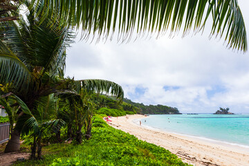 Wall Mural - Anse Royale beach on a summer day, Seychelles. Coastal view