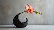 A modern vase, sculpted from matte black ceramic, its clean lines contrasting with a single, vibrantly colored orchid bloom,