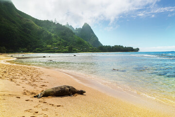 Canvas Print - Kauai