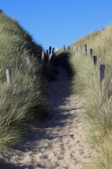 Canvas Print - Dünenweg, Küste, Küstenschutz, Nordsee