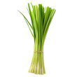 © Oksana_Latysheva - Lemongrass isolated on white background
