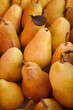Close up of ripe pears as background or texture. Fruit harvest from the autumn garden.