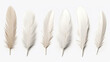 Realistic white feathers separated on a white background