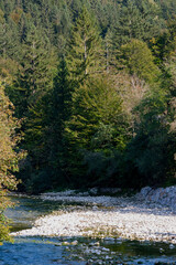 Poster - Lake Bohinj, Bohinj Valley, Julian Alps, Slovenia