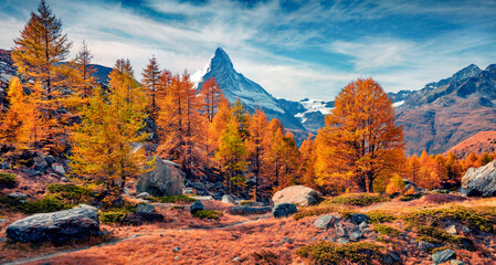 Wall Mural - spectacular morning view of outskirts of grindjisee lake with matterhorn (cervino) peak on backgroun