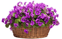 Grape-hued Flowers In A Woven Basket Isolated On Transparent Background