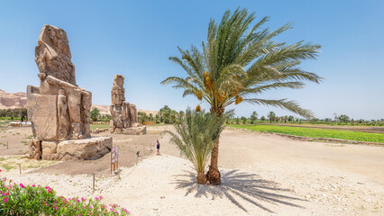 Wall Mural - Luxor, Egypt; January 24, 2024 - A view of the Colossi of Memnon on the West bank of Luxor, Egypt.