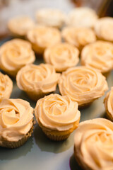 Wall Mural - Close up of vanilla cupcakes with frosting arranged on table