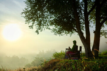 Wall Mural - Side view of a man sitting on bench and cat with morning fog in forest