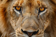 © YouAreBeautiful - Illustrate a close-up of a lion's face, capturing its focused and intense gaze