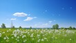 Field with dandelions and blue sky. Beautiful Landscape