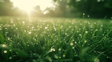 Close-up Of Dew Drops On Green Grass Blades, Illuminated By The Soft Light Of A Rising Sun.