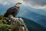 Fototapeta  - a beautiful north american bald eagle flying high in the sky. breathtaking scenic landscape view on mountains nature. desktop wallpaper background.