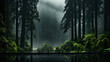 Towering redwood trees in a deep, mystical forest