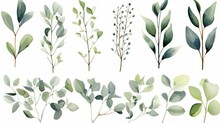 Watercolor Floral Illustration Green Leaf Branches Collection, For Wedding Stationary, Greetings, Wallpapers, Fashion, Background. Eucalyptus, Olive, Green Leaves.