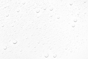 Wall Mural - Isolated water drops against transparent background.
