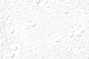 Leinwandbilder - Isolated water drops against transparent background.