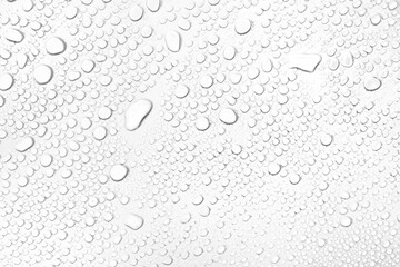 Leinwandbilder - Isolated water drops against transparent background.