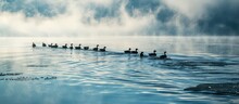 A Flock Of Ducks Gracefully Glides Across The Serene Winter Lake, Creating Ripples On Its Glassy Surface As They Search For Food.