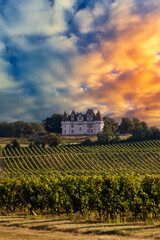 Sticker - Chateau Monbazillac ( Monbazillac castle) with vineyards, Aquitaine, France