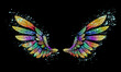 colorful wings