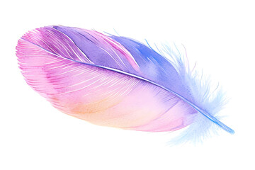 Wall Mural - Soft pastel detailed feather in watercolor style isolated on white background