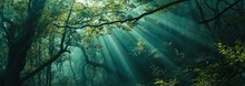 Enchanted Green Forest, Sunrays Shining Down, Generative AI
