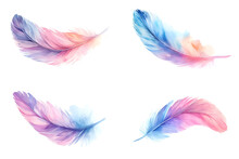 Soft Pastel  Feather  Watercolor Set Isolated On White Background