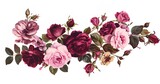 Fototapeta Kwiaty -  Bouquet of Roses on a Transparent Background