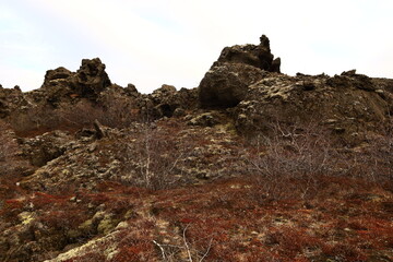 Dimmuborgir is a large area of unusually shaped lava fields east of Mývatn in Iceland