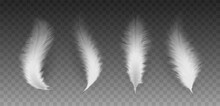 3d Realistic Vector Illustration. Set Of White Twirled  Feathers.