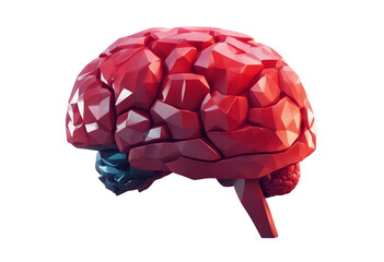 Low poly brain illustration red low poly human brain abstract anatomy organ colorful brain isolated on transparent background