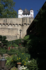 Poster - Burg in Eltville