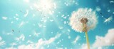 Fototapeta Dmuchawce -  a dandelion blowing in the wind with a blue sky in the back ground and white clouds in the back ground and a bright sun shining through the dandelion.