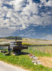 Canvas Print - Old wine press, Cote de Nuits, Burgundy, France