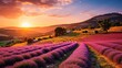  a field of lavender flowers with the sun setting over the hills in the distance in the distance, with a house in the distance.
