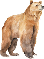 Aufkleber - Brown bear watercolor created with Generative AI technology