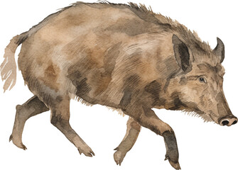 Aufkleber - Boar watercolor created with Generative AI technology