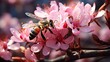  a bee sitting on top of a pink flower next to a bunch of pink flowers on a branch of a tree.