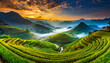 Zielone pola ryżowe na tle gór we mgle, Wietnam