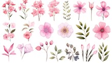  A Set Of Watercolor Flowers And Leaves On A White Background, Including Pink Flowers, Green Leaves, And Pink Flowers.