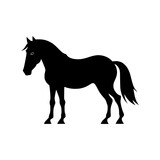 Fototapeta Konie - silhouette of horse