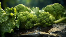 Fresh, Organic Vegetables Broccoli, Cauliflower, Kale, On Rustic Table Generated By AI